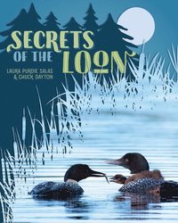 bokomslag Secrets of the Loon