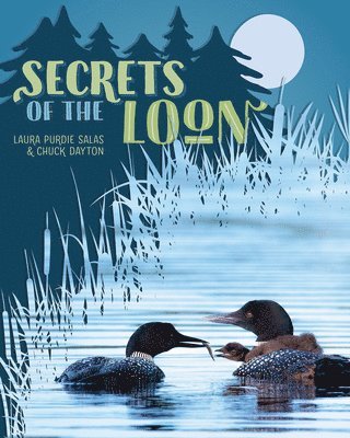 Secrets of the Loon 1