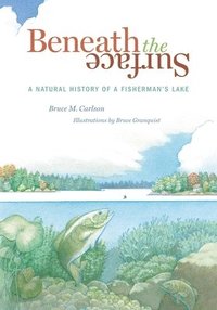 bokomslag Beneath the Surface: A Natural History of a Fisherman's Lake