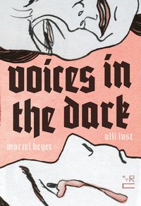 bokomslag Voices In The Dark