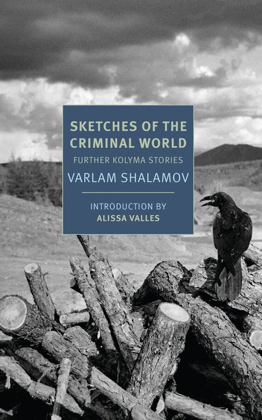Varlam Shalamov, Donald Rayfield - Sketches of the Criminal World, Häftad