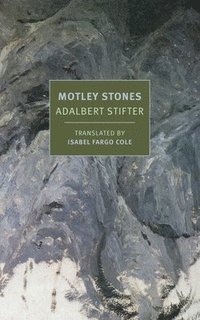 bokomslag Motley Stones