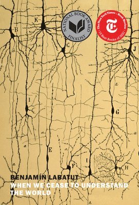 Benjamin Labatut - When We Cease to Understand the World, Häftad