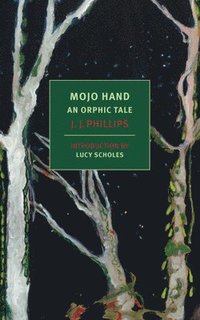 bokomslag Mojo Hand: An Orphic Tale