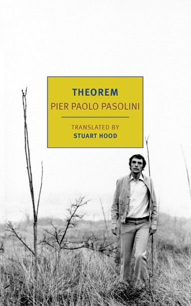 Pier Paolo Pasolini - Theorem, Häftad