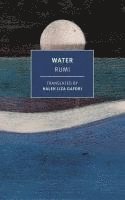 Rumi, Haleh Liza Gafori, Mevlana Jalaluddin Rumi - Water, Häftad