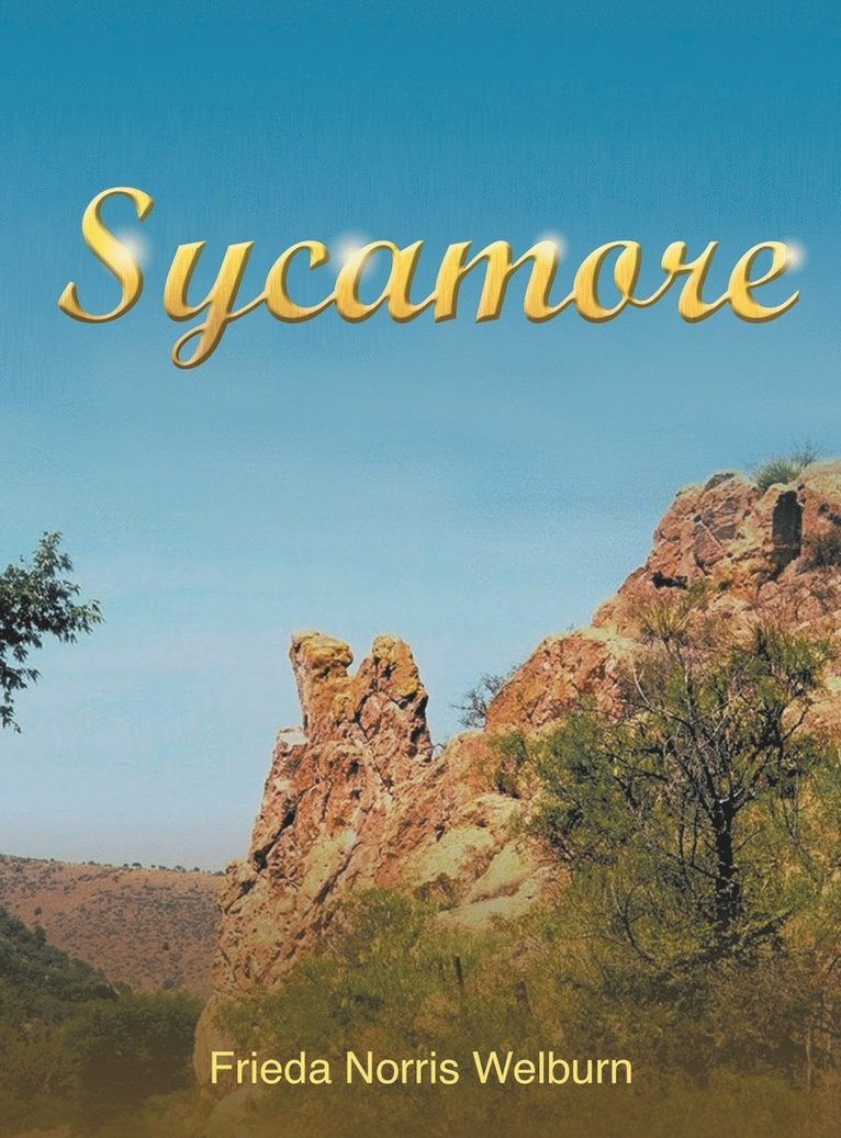 Sycamore 1