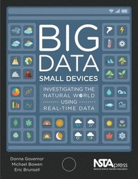 bokomslag Big Data, Small Devices