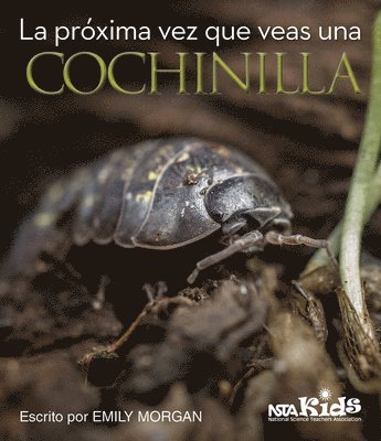 Emily Morgan - La Próxima Vez Que Veas Una Cochinilla, Häftad