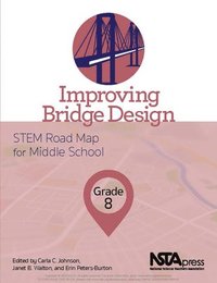 bokomslag Improving Bridge Design