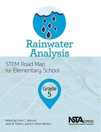 bokomslag Rainwater Analysis