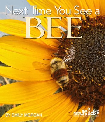 Next Time You See a Bee 1