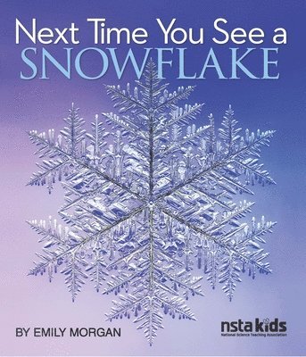 Emily Morgan - Next Time You See a Snowflake, Häftad