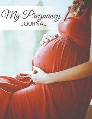 My Pregnancy Journal 1