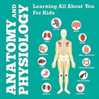 bokomslag Anatomy And Physiology