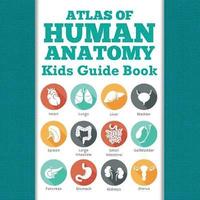 bokomslag Atlas Of Human Anatomy