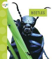 Nessa Black - Beetles, Inbunden