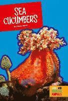 bokomslag Sea Cucumbers