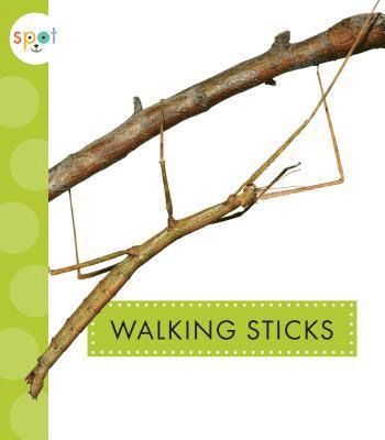 Nessa Black - Walking Sticks, Inbunden