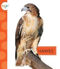 bokomslag Hawks