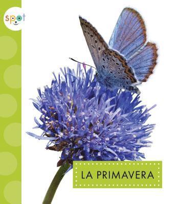 Mari C. Schuh - La Primavera, Inbunden