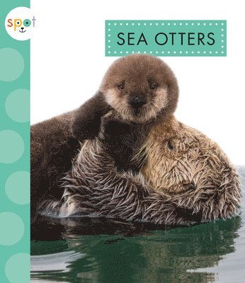 Anastasia Suen - Sea Otters, Inbunden