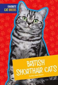 bokomslag British Shorthair Cats