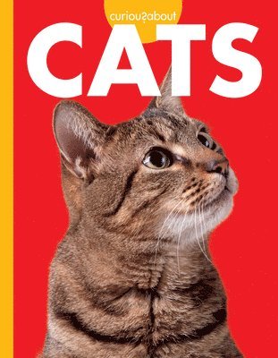 M. K. Osborne, M K Osborne - Curious about Cats, Inbunden