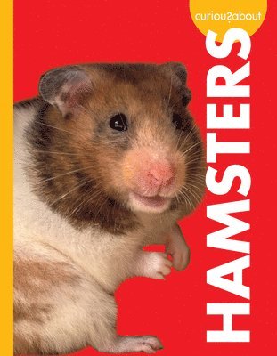 Curious about Hamsters 1