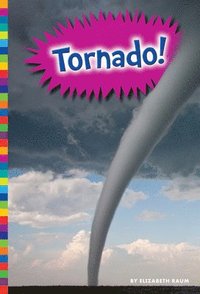 bokomslag Tornado!