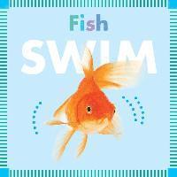 Fish Swim 1