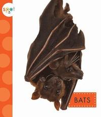 bokomslag Bats