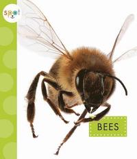bokomslag Bees