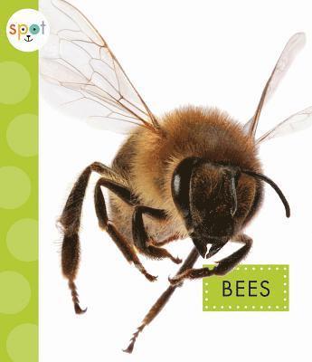 bokomslag Bees