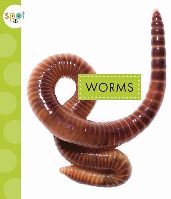 bokomslag Worms