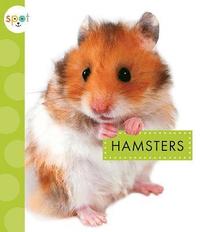 bokomslag Hamsters