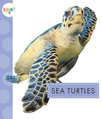 Sea Turtles 1