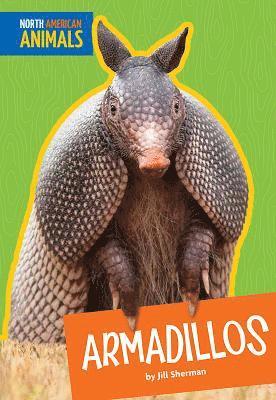 bokomslag Armadillos