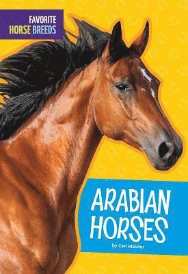 Arabian Horses 1