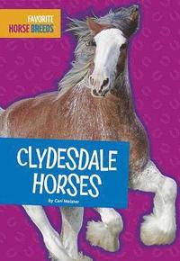 bokomslag Clydesdale Horses