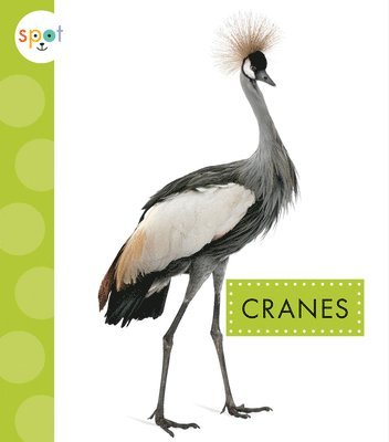 Cranes 1