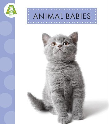 Animal Babies 1