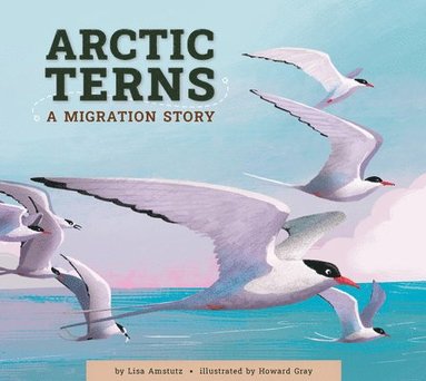 Lisa Amstutz - Arctic Terns: A Migration Story, Häftad