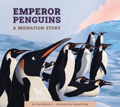 bokomslag Emperor Penguins: A Migration Story