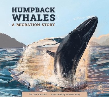 Lisa Amstutz - Humpback Whales: A Migration Story, Häftad