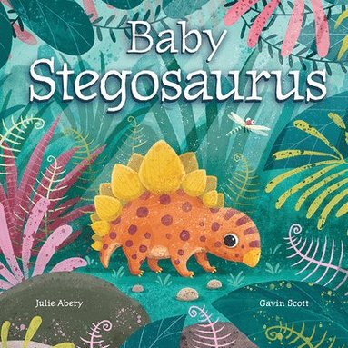 bokomslag Baby Stegosaurus
