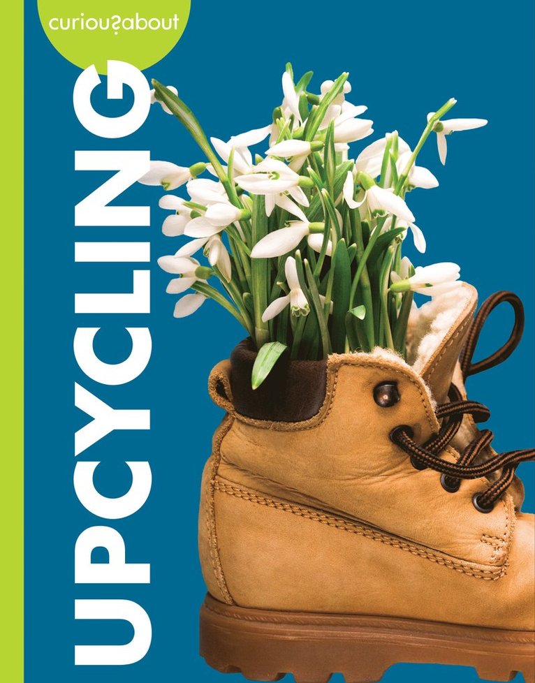 Curious about Upcycling