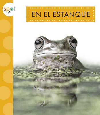 bokomslag En El Estanque