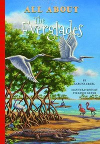 bokomslag All About the Everglades