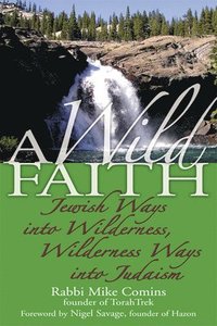 bokomslag A Wild Faith